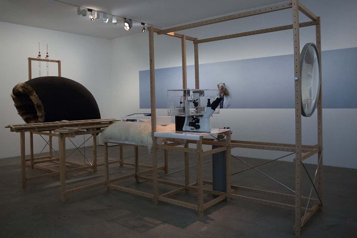 K-9_topology by Maja Smrekar