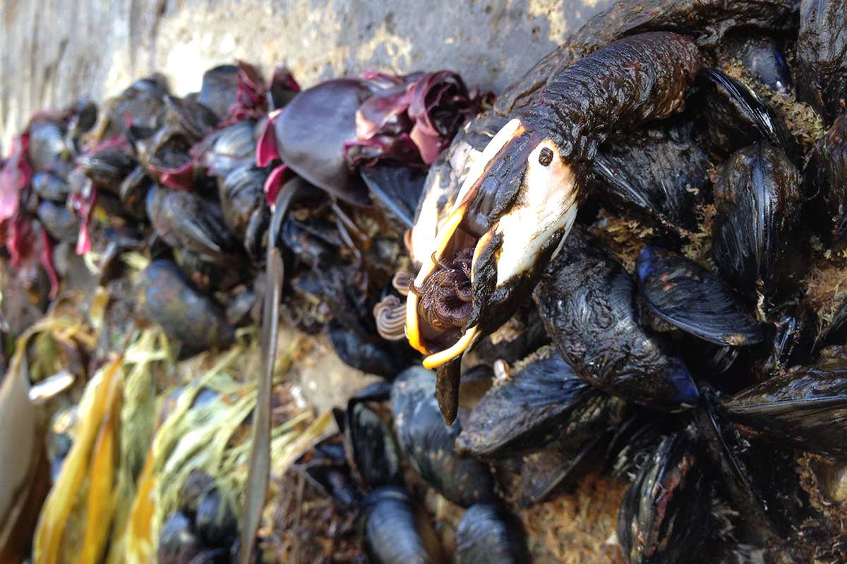 New Scientist. Science news and long reads from expert journalists, covering developments in science, technology, health and the environment on the website and the magazine.