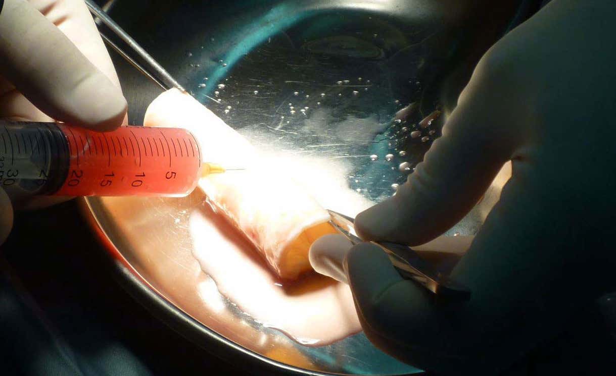 New Scientist. Science news and long reads from expert journalists, covering developments in science, technology, health and the environment on the website and the magazine.