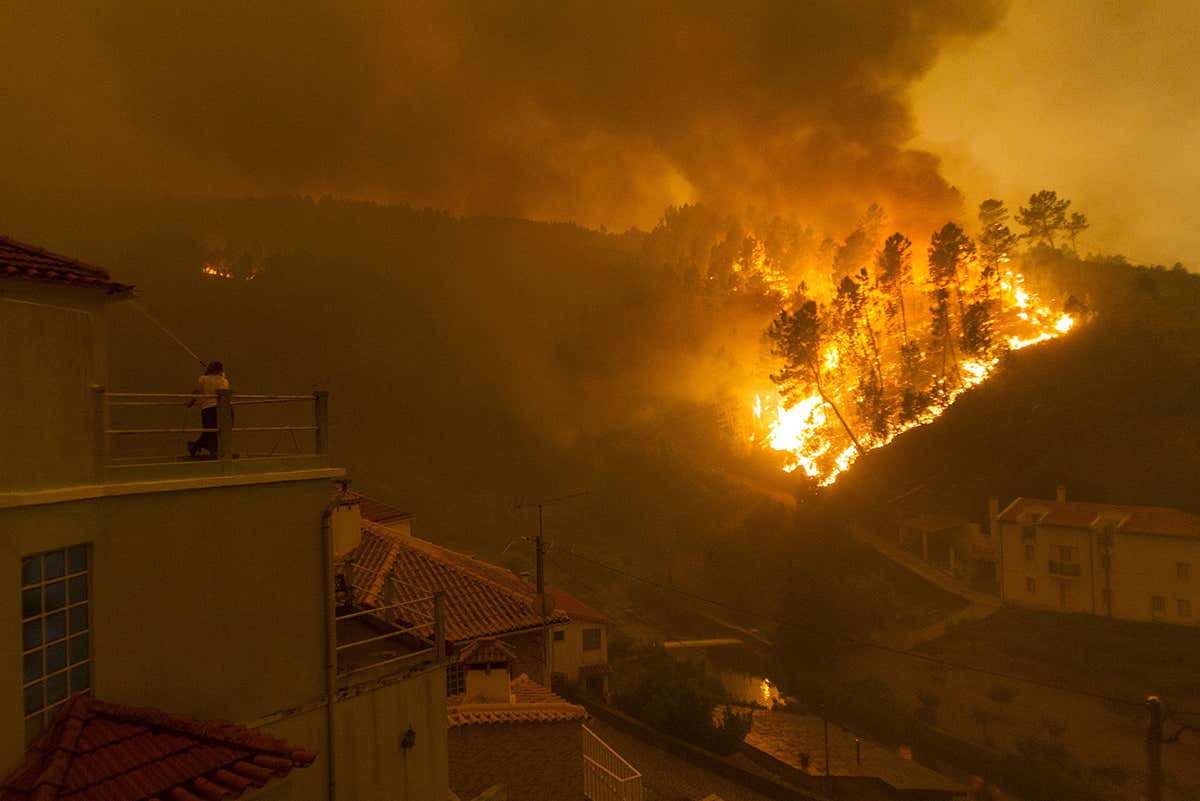Kids suing nations over climate change wildfire links are right