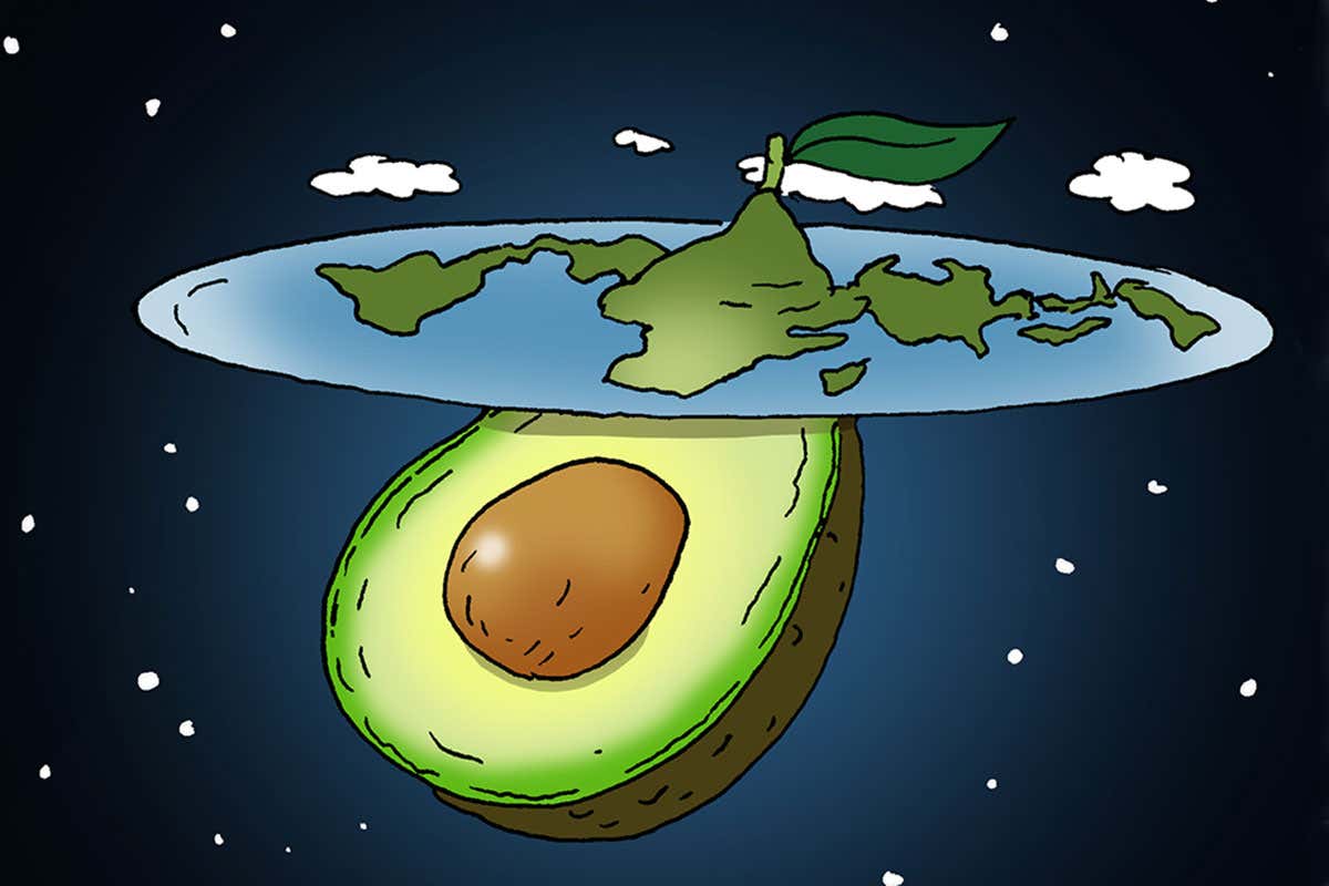 avocado cartoon