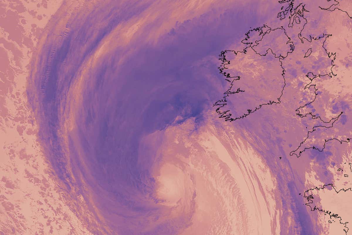 New Scientist. Science news and long reads from expert journalists, covering developments in science, technology, health and the environment on the website and the magazine.