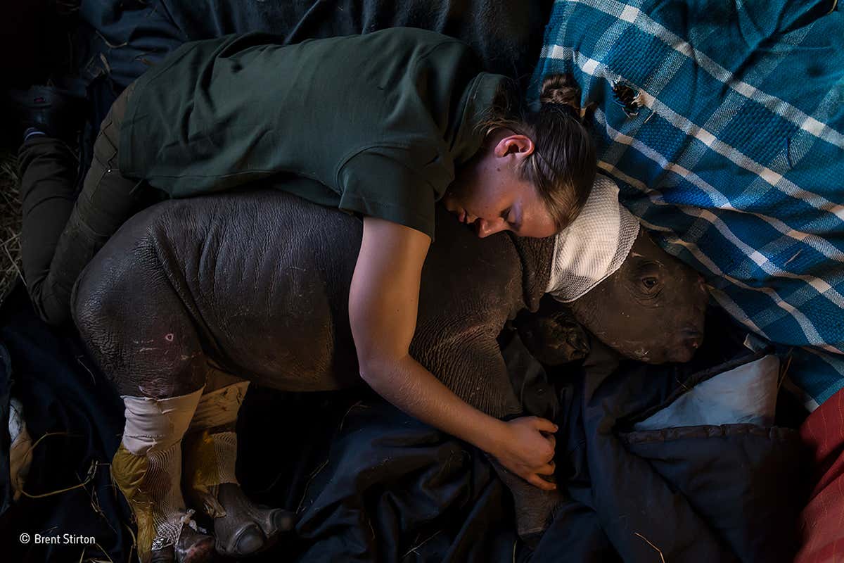 New Scientist. Science news and long reads from expert journalists, covering developments in science, technology, health and the environment on the website and the magazine.