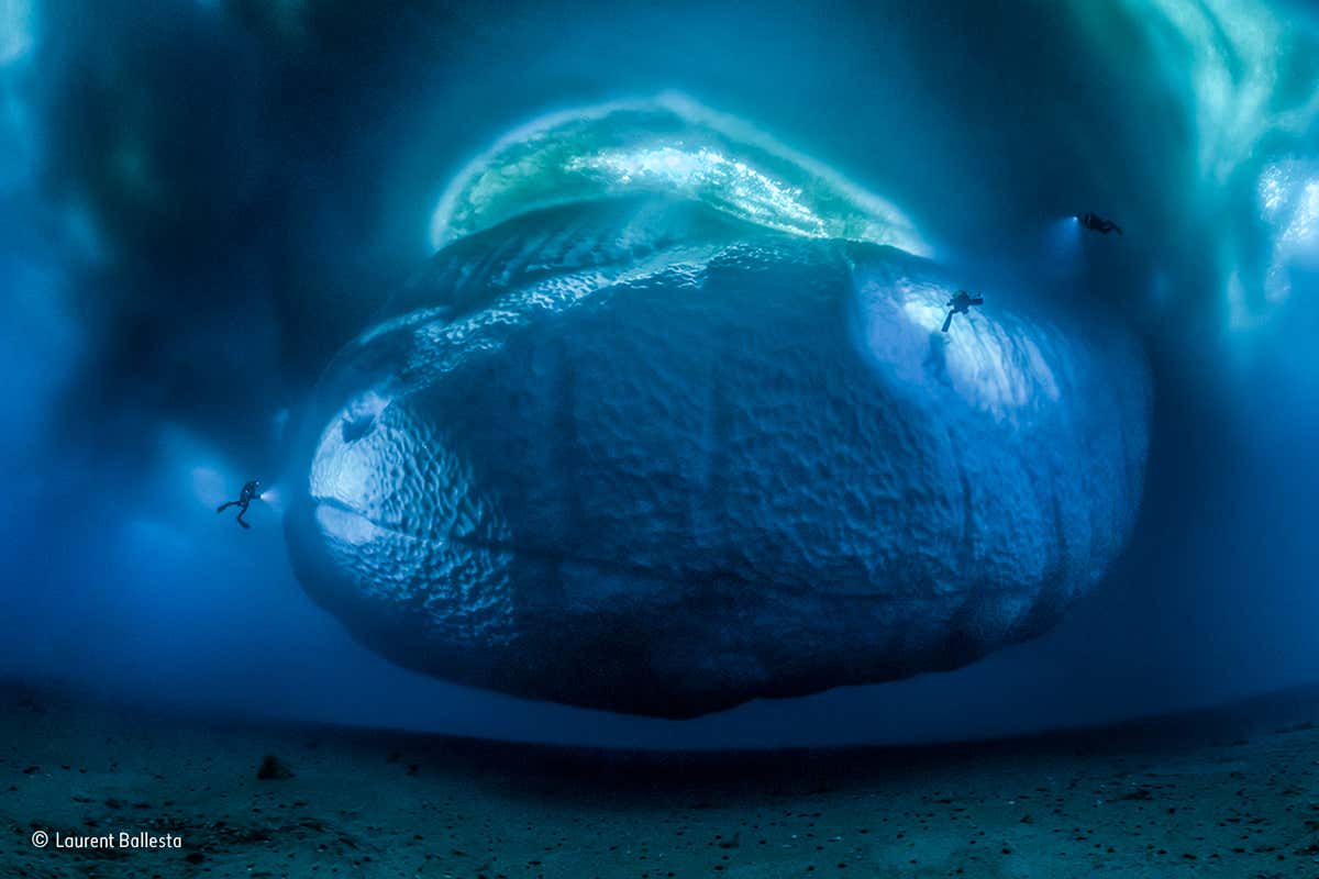 "The ice monster": Winner, Earth’s Environments