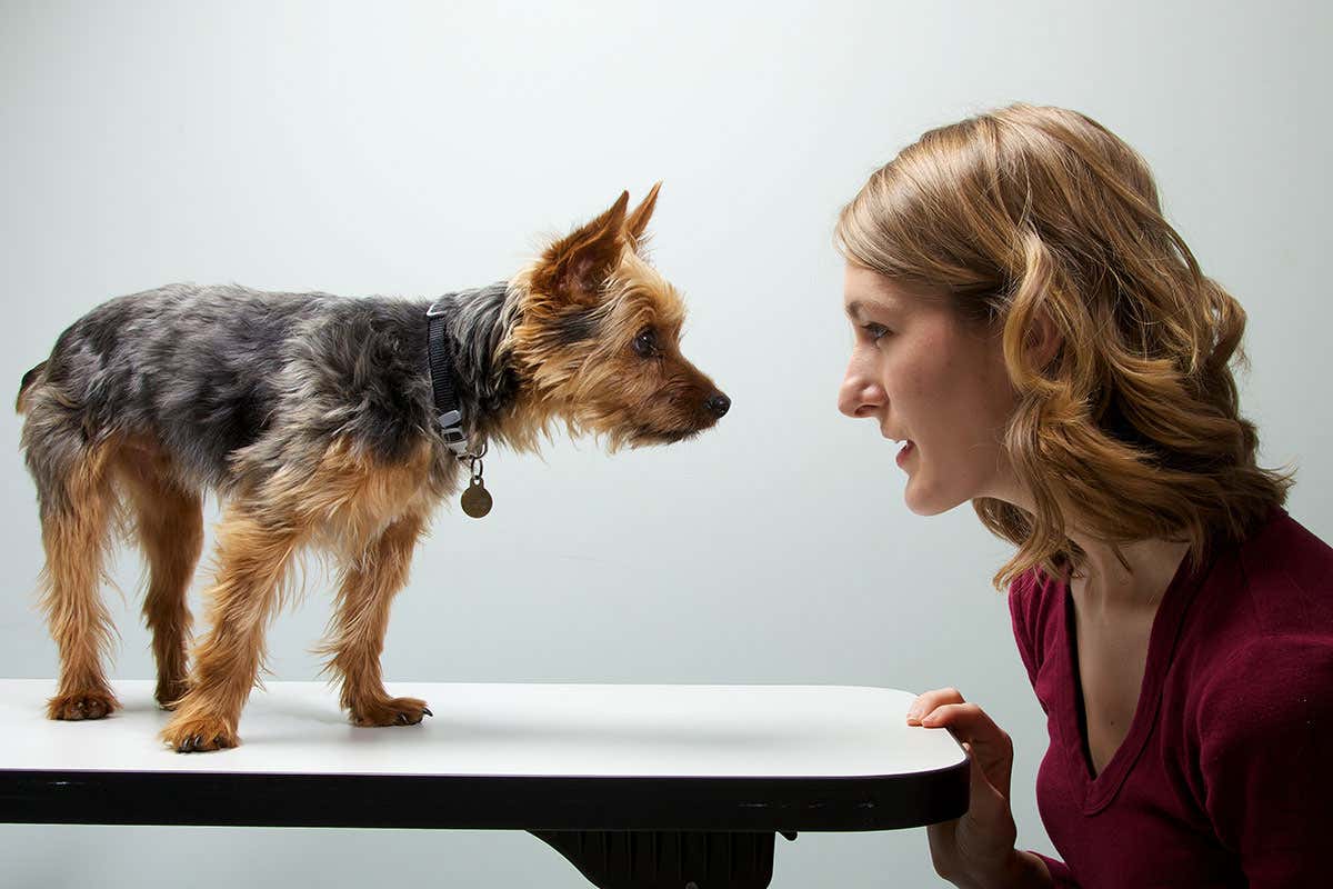 Natural history books that look inside the minds of animals