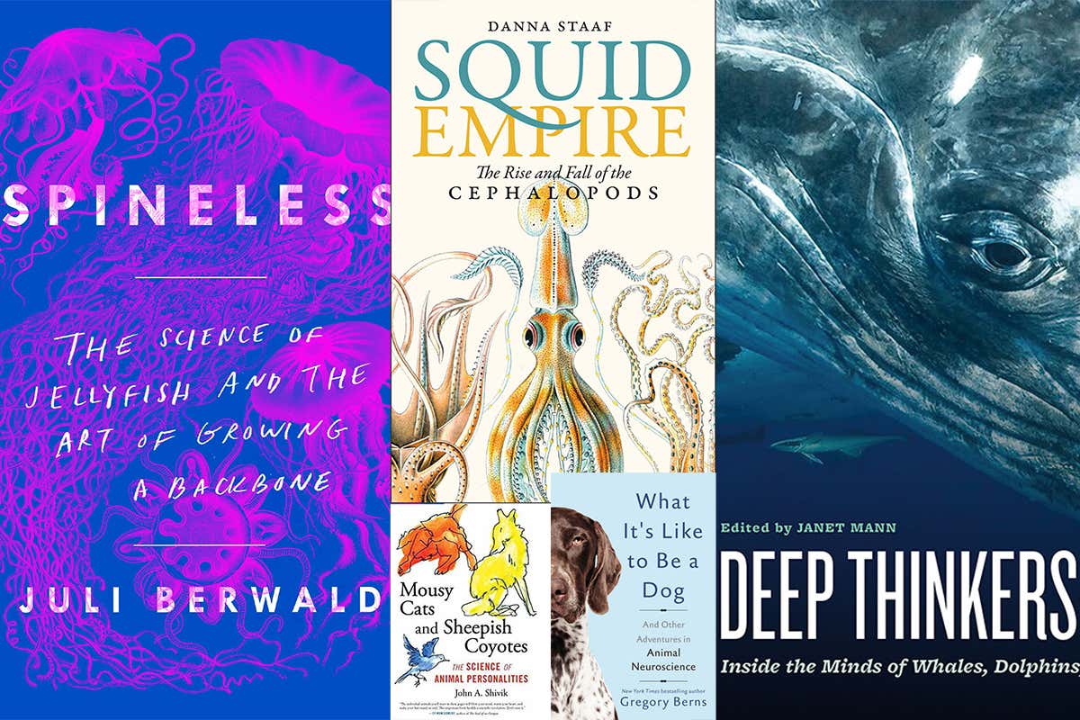 New Scientist. Science news and long reads from expert journalists, covering developments in science, technology, health and the environment on the website and the magazine.