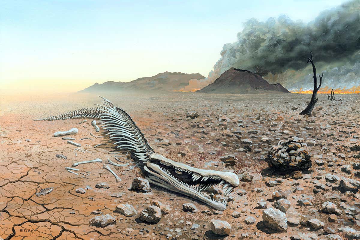 The mass extinction that might never have happened