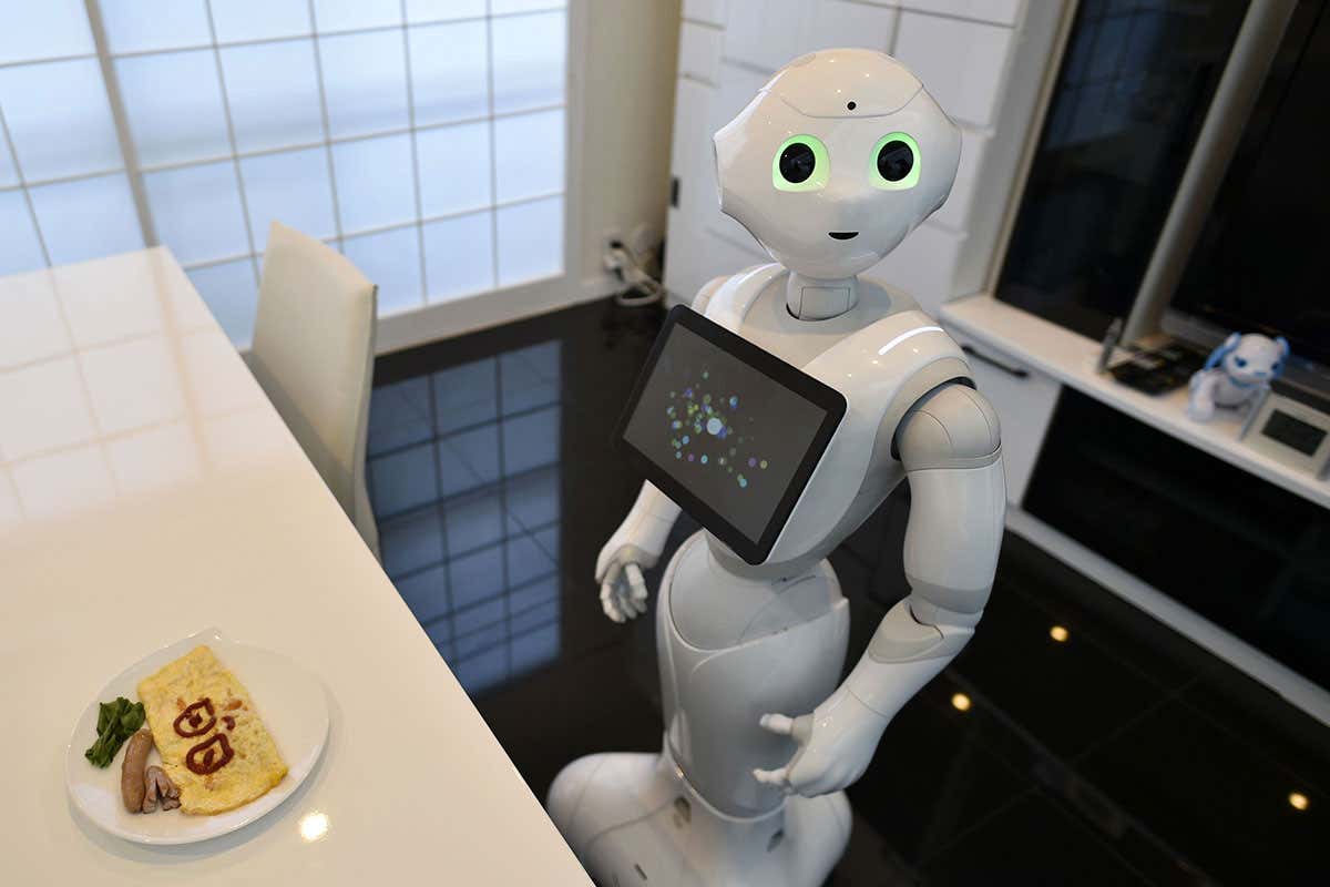 Pepper robot