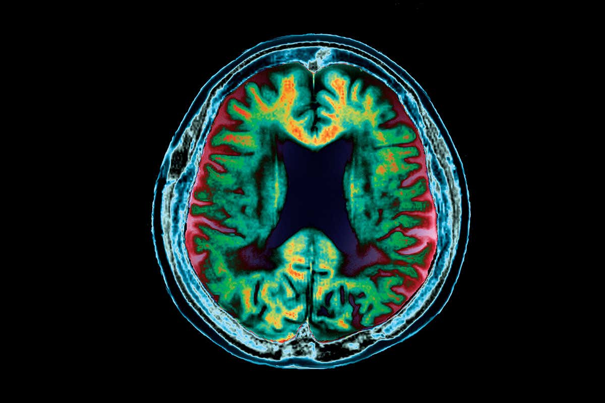 New Scientist. Science news and long reads from expert journalists, covering developments in science, technology, health and the environment on the website and the magazine.