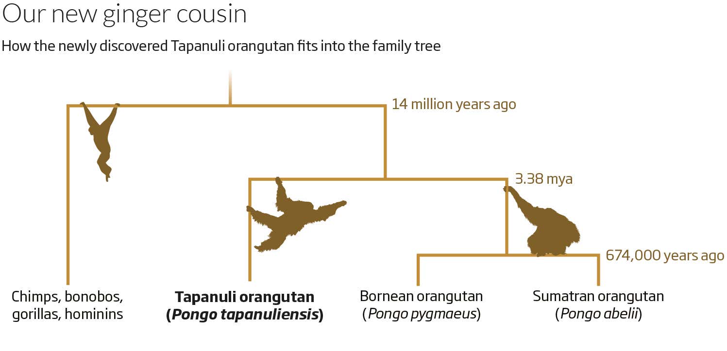 New Scientist. Science news and long reads from expert journalists, covering developments in science, technology, health and the environment on the website and the magazine.