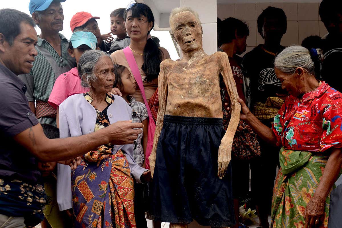 New Scientist. Science news and long reads from expert journalists, covering developments in science, technology, health and the environment on the website and the magazine.