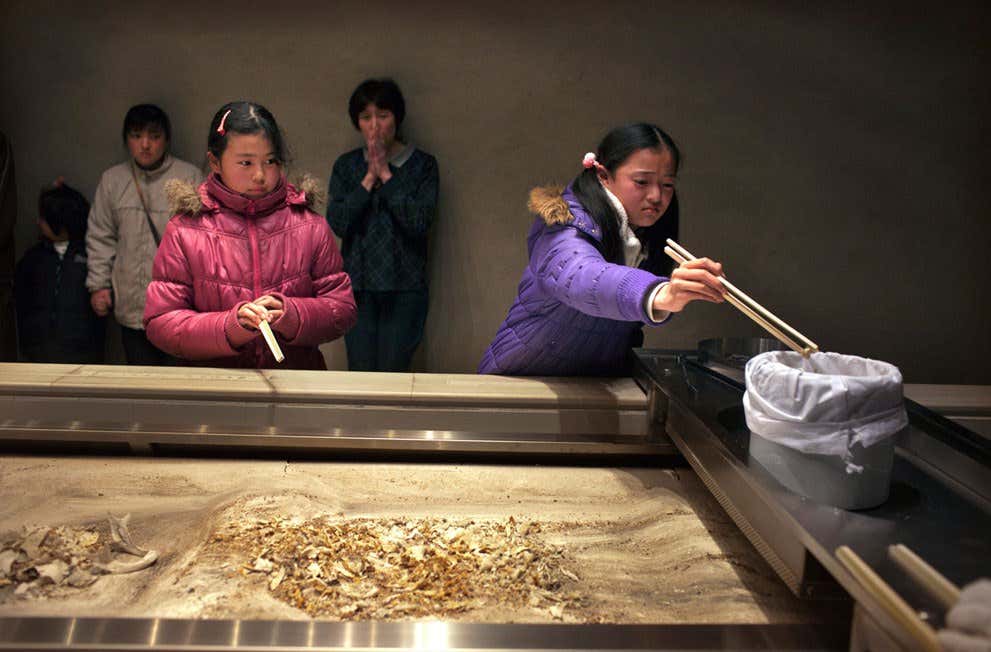 New Scientist. Science news and long reads from expert journalists, covering developments in science, technology, health and the environment on the website and the magazine.