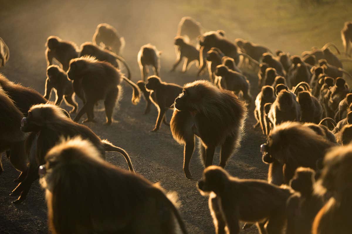 New Scientist. Science news and long reads from expert journalists, covering developments in science, technology, health and the environment on the website and the magazine.