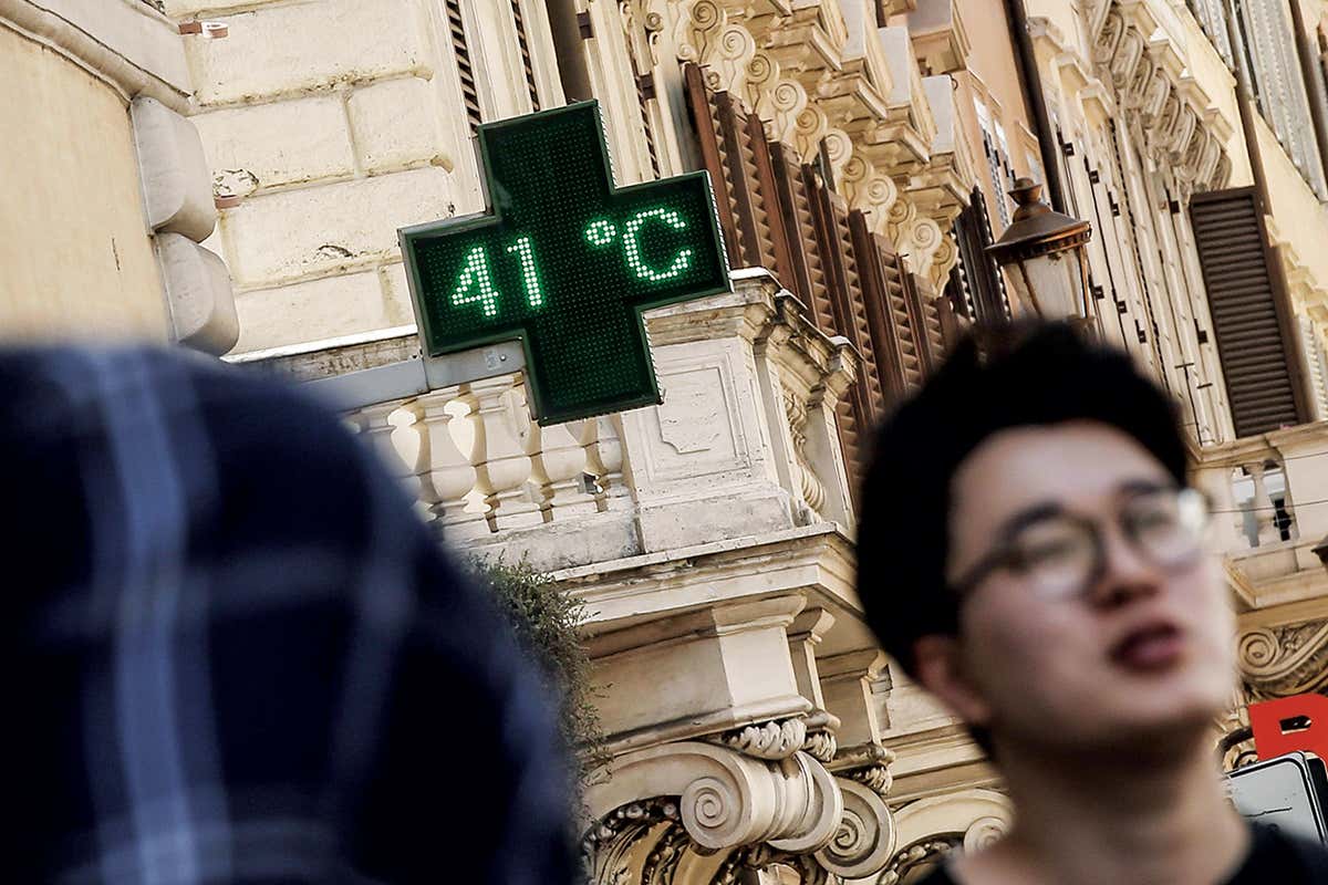 Planting trees could mop up ten years’ worth of greenhouse gases