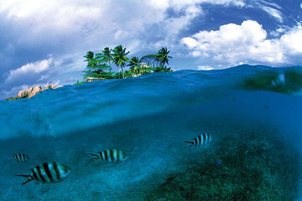 What we're doing now will make the ocean completely unliveable