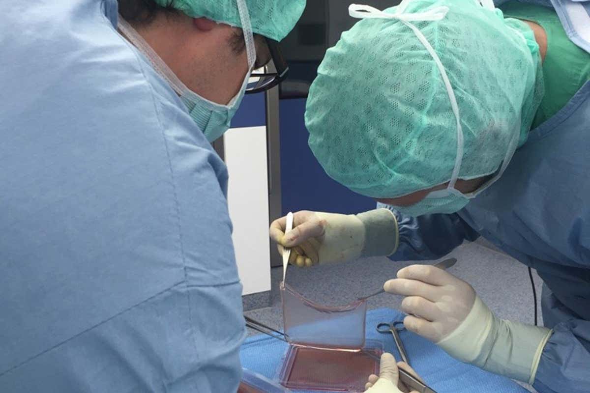 A gene therapy skin graft