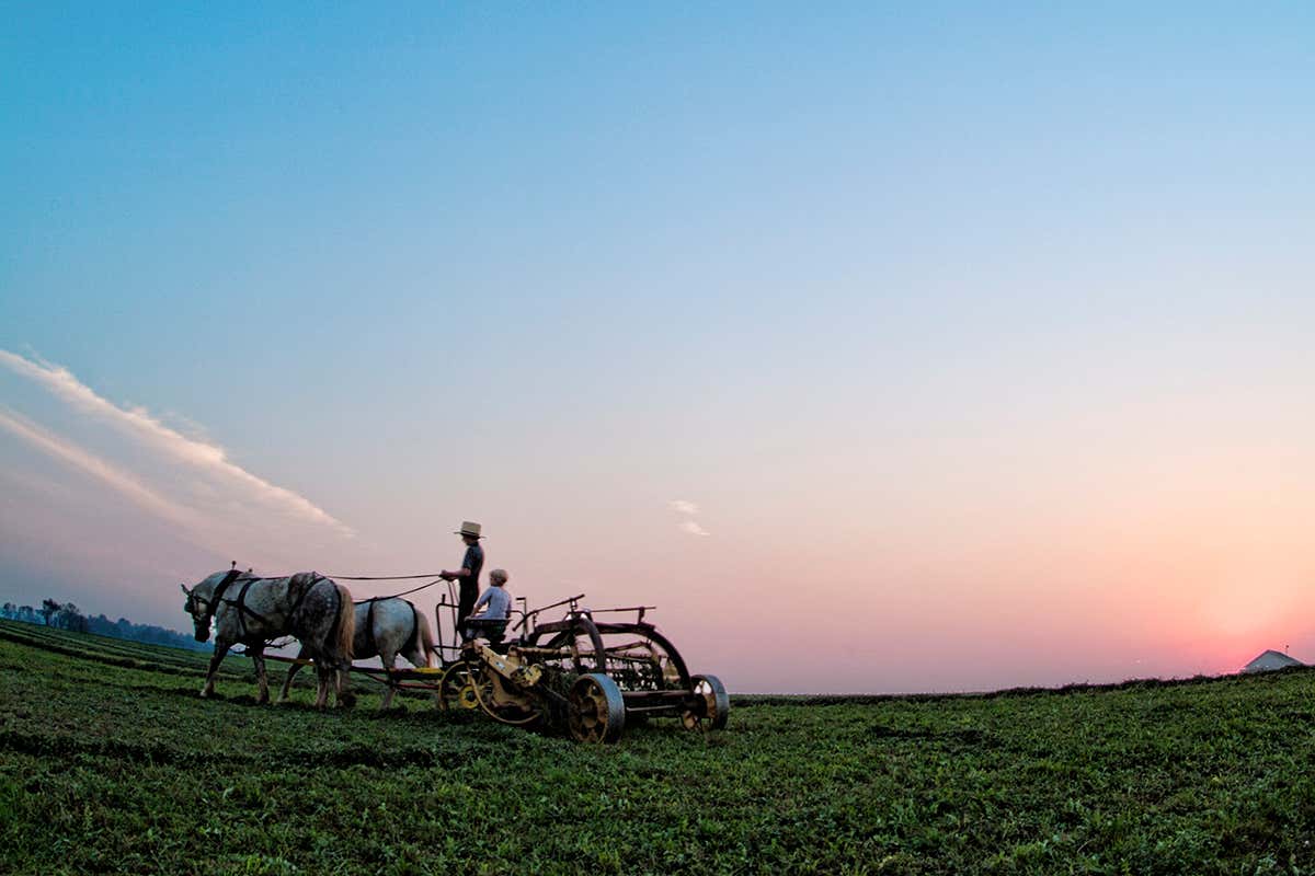 Man working on an Old Amish farm