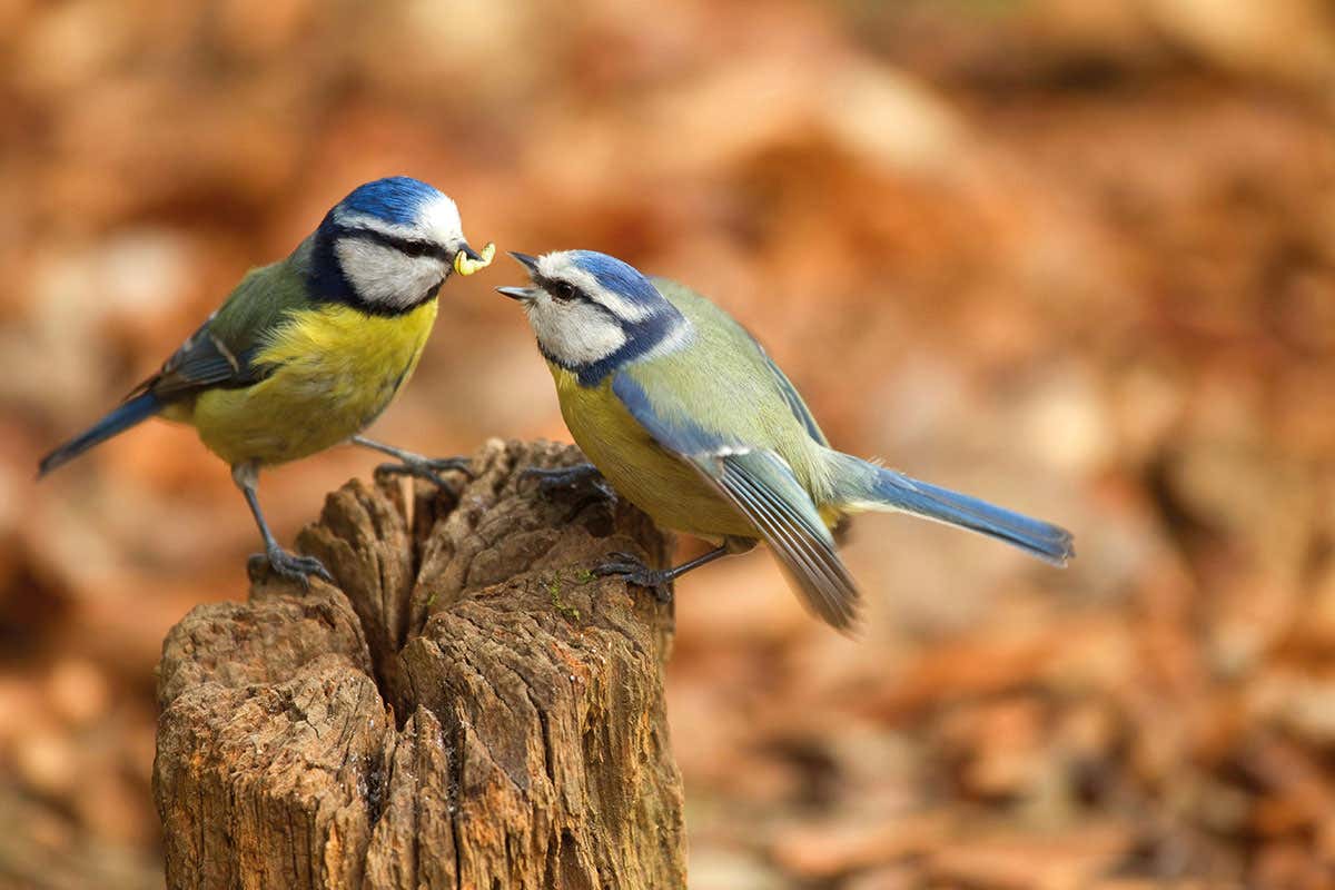 New Scientist. Science news and long reads from expert journalists, covering developments in science, technology, health and the environment on the website and the magazine.
