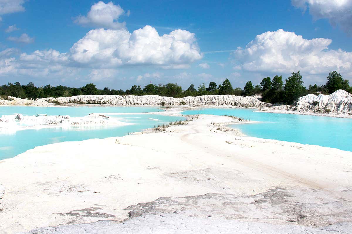 New Scientist. Science news and long reads from expert journalists, covering developments in science, technology, health and the environment on the website and the magazine.