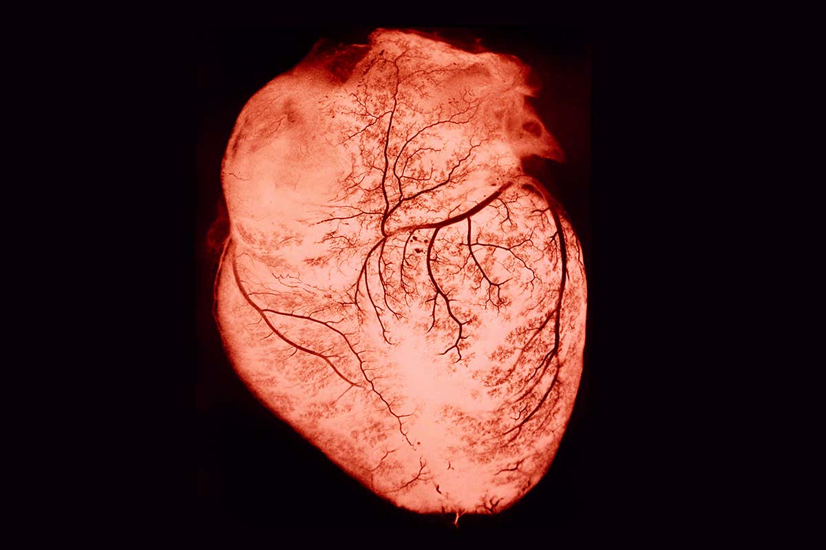 New Scientist. Science news and long reads from expert journalists, covering developments in science, technology, health and the environment on the website and the magazine.