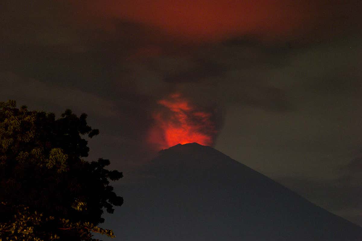 New Scientist. Science news and long reads from expert journalists, covering developments in science, technology, health and the environment on the website and the magazine.