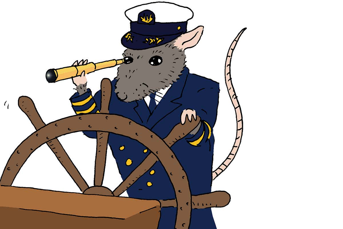 rat cartoon