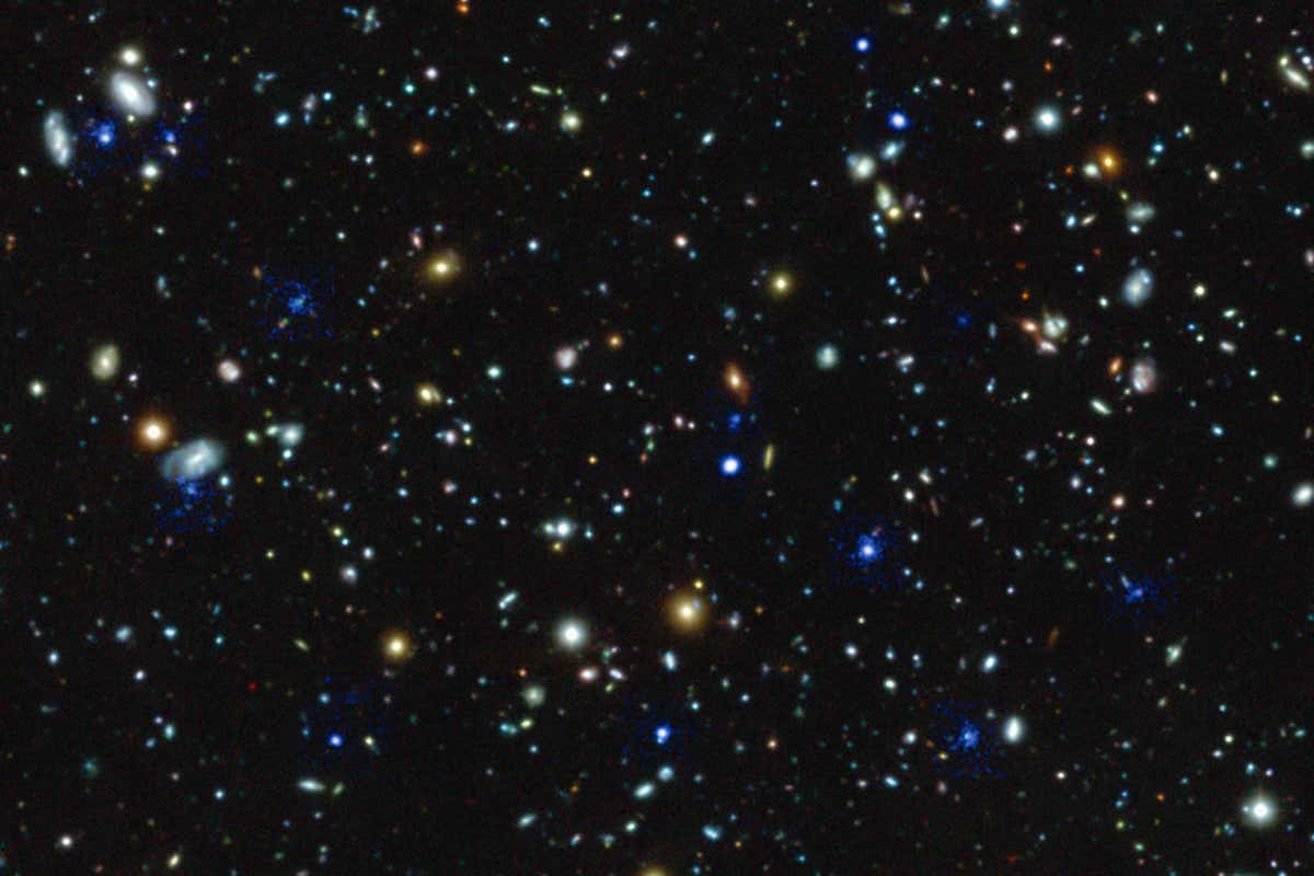 New Scientist. Science news and long reads from expert journalists, covering developments in science, technology, health and the environment on the website and the magazine.