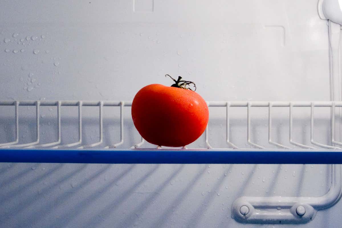 Solitary tomato in fridge