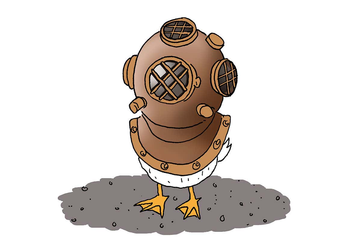 Feedback: A quacking idea to use ducks as research assistants