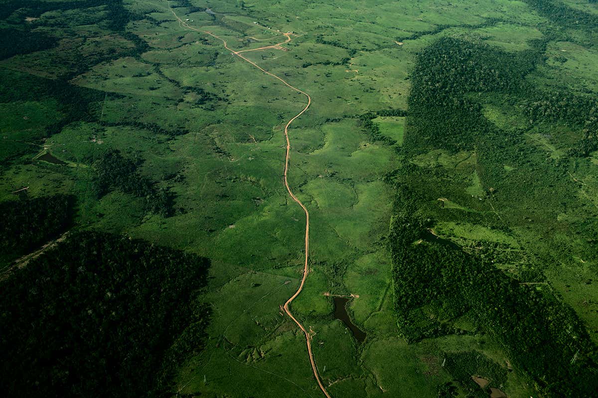 Aerial view of a road cutting through a forest