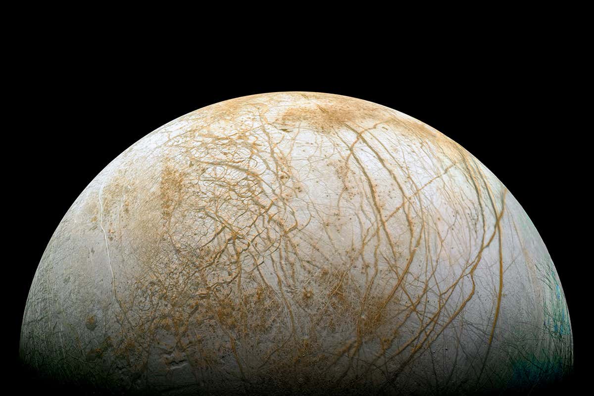 New Scientist. Science news and long reads from expert journalists, covering developments in science, technology, health and the environment on the website and the magazine.