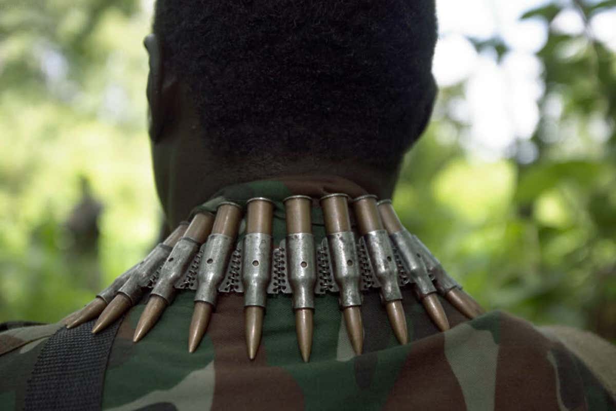 Africa’s giraffes are being slaughtered by Joseph Kony's army