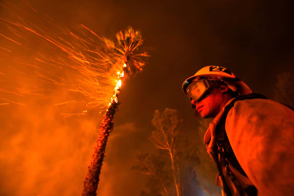 firefighter in front of a burning tree
