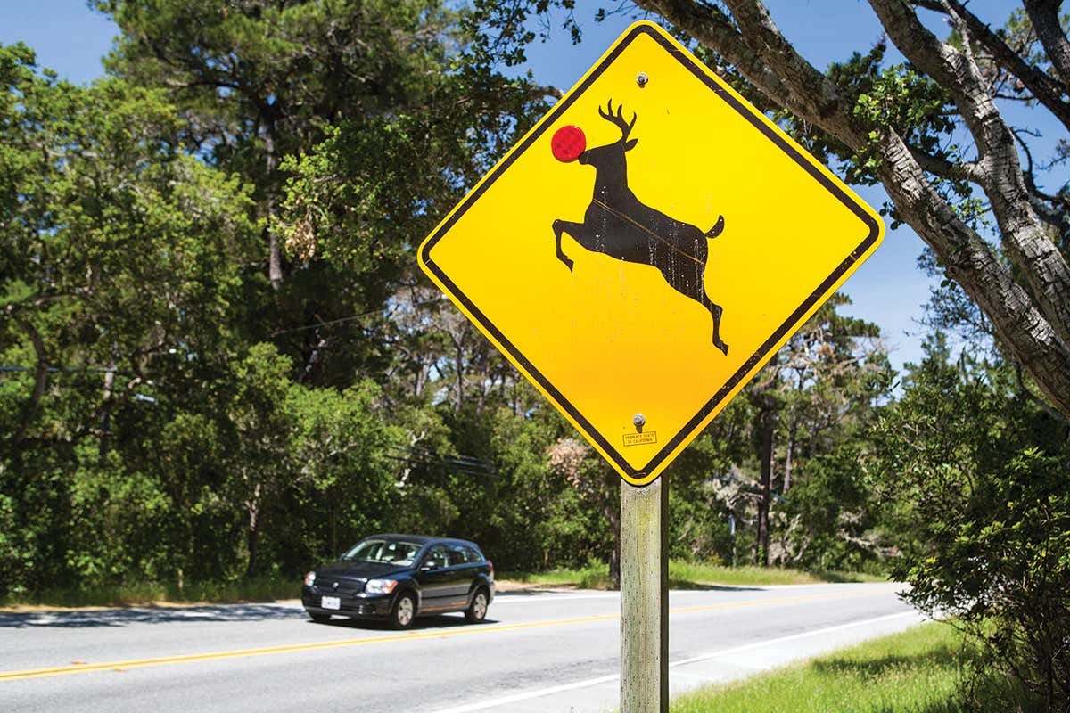 road sign with reindeer with a red nose