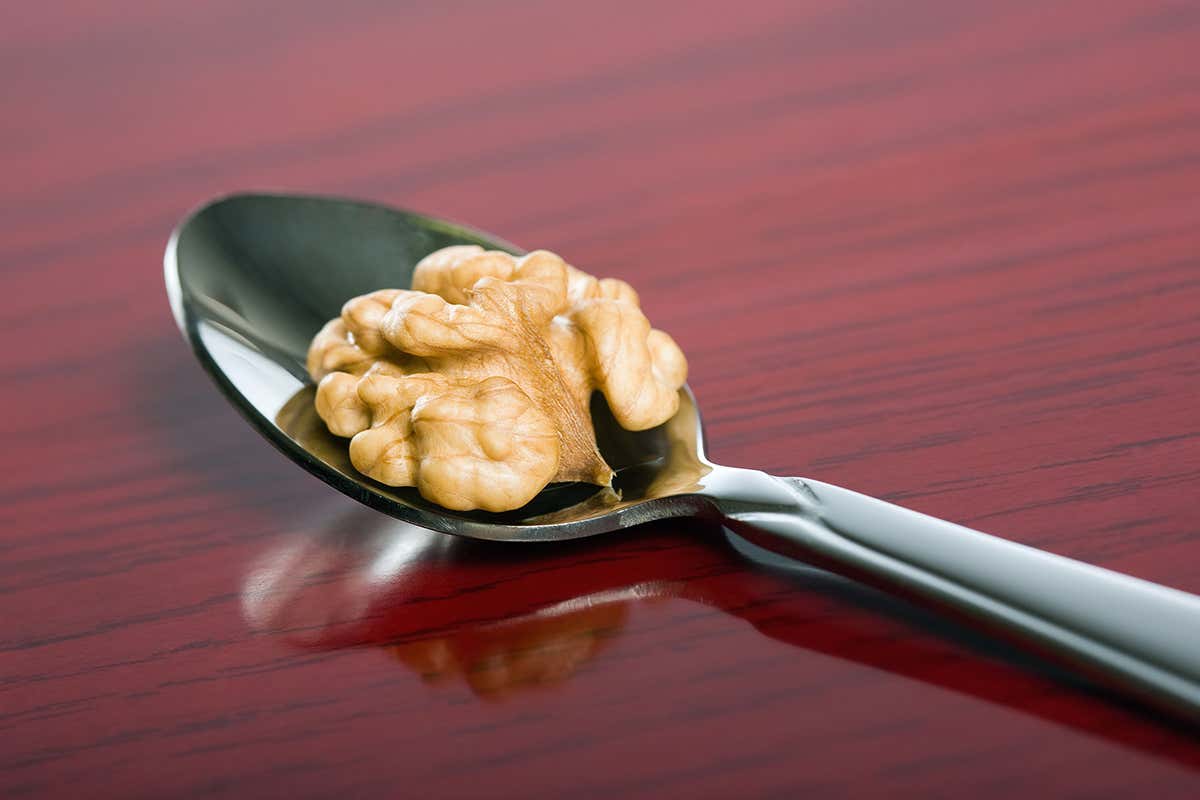 A walnut on a spoon
