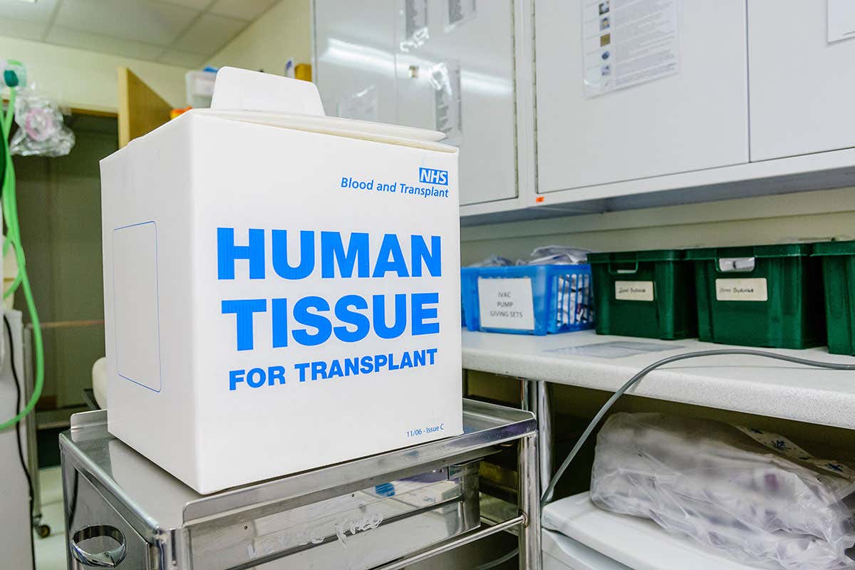A box for transporting human tissue