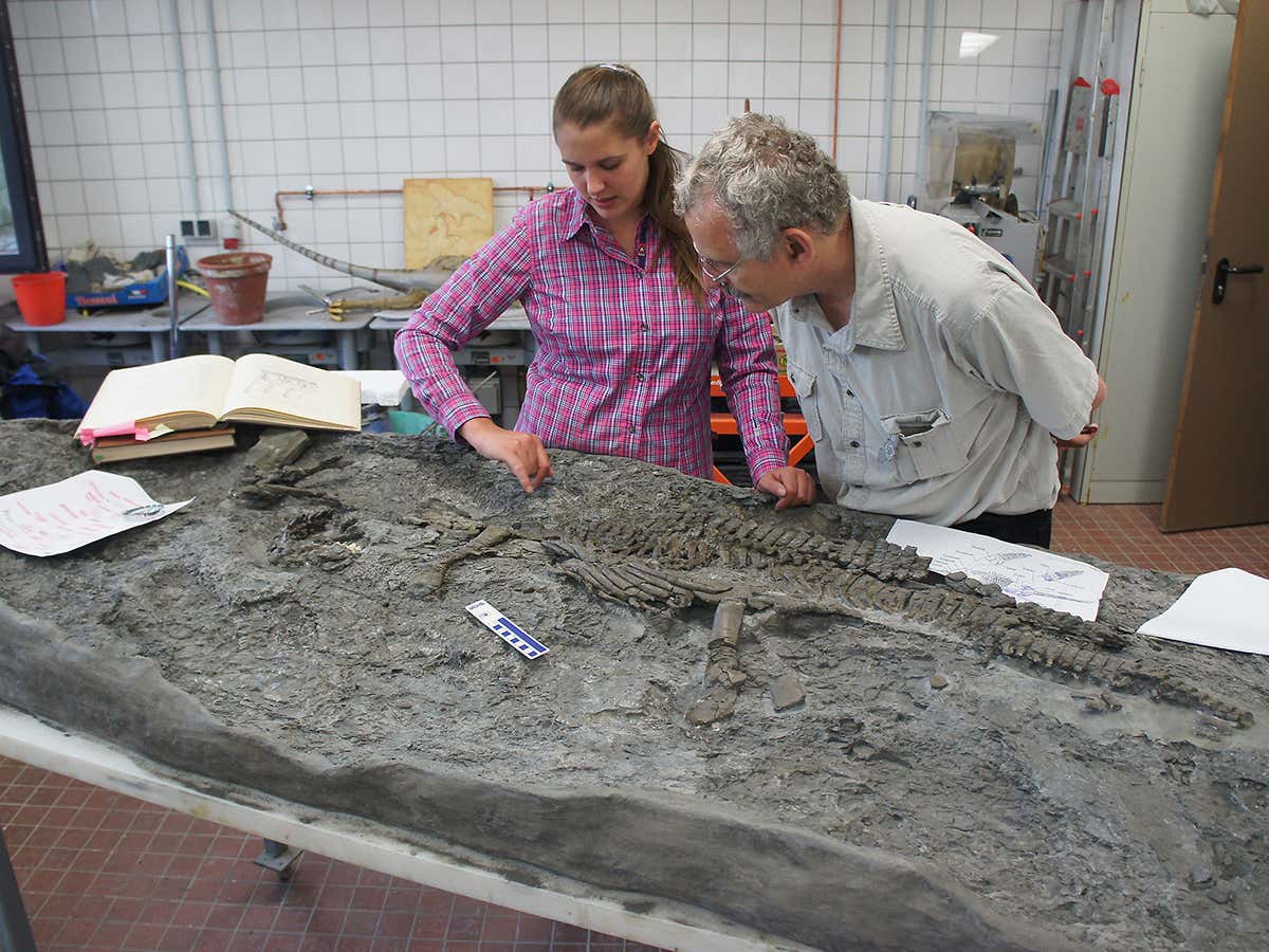 Tanja Wintrich and Martin Sander with the fossil Rhaeticosaurus