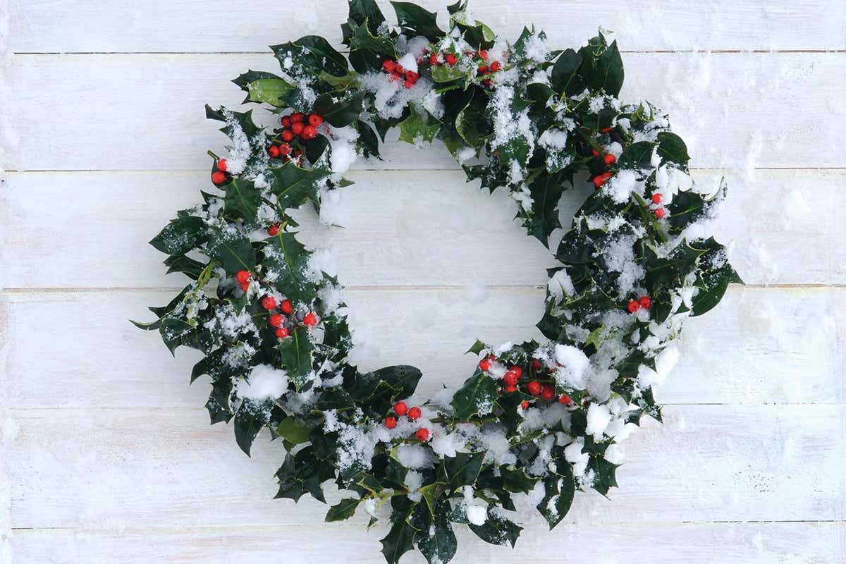 holly wreath