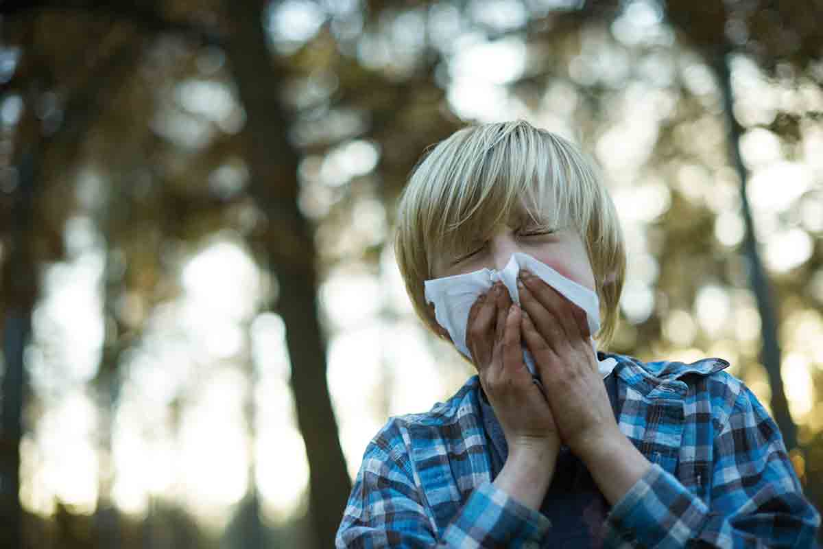 Aussie flu: Just what the doctor ordered?
