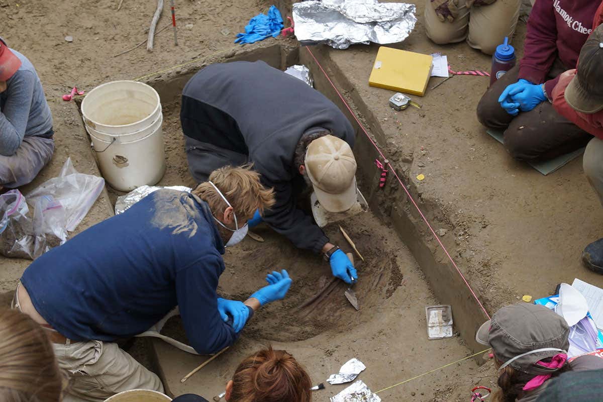 New Scientist. Science news and long reads from expert journalists, covering developments in science, technology, health and the environment on the website and the magazine.