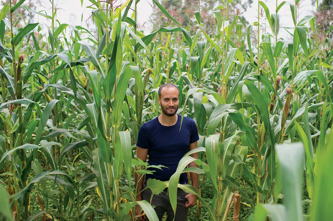 With political will, we can solve the global vision crisis