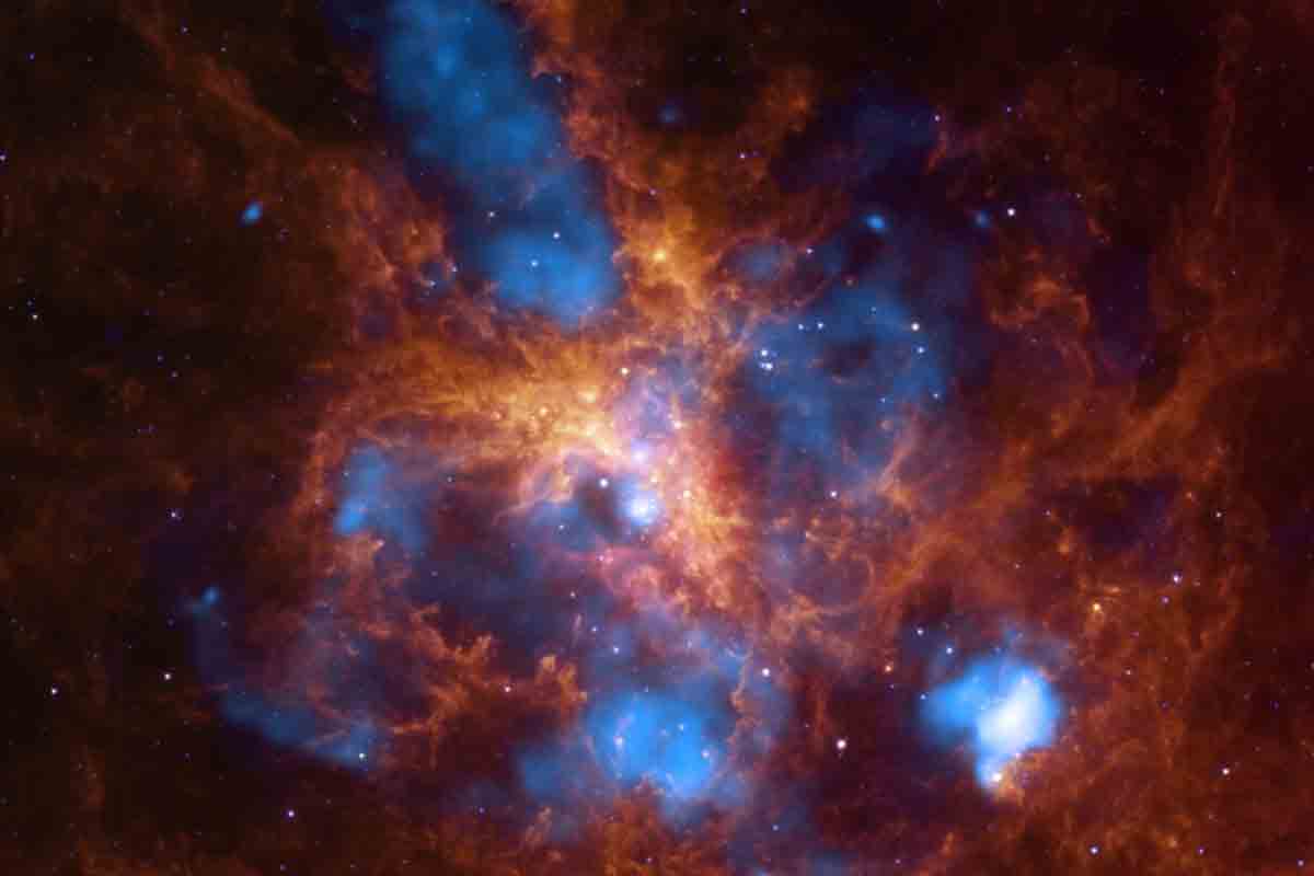 New Scientist. Science news and long reads from expert journalists, covering developments in science, technology, health and the environment on the website and the magazine.