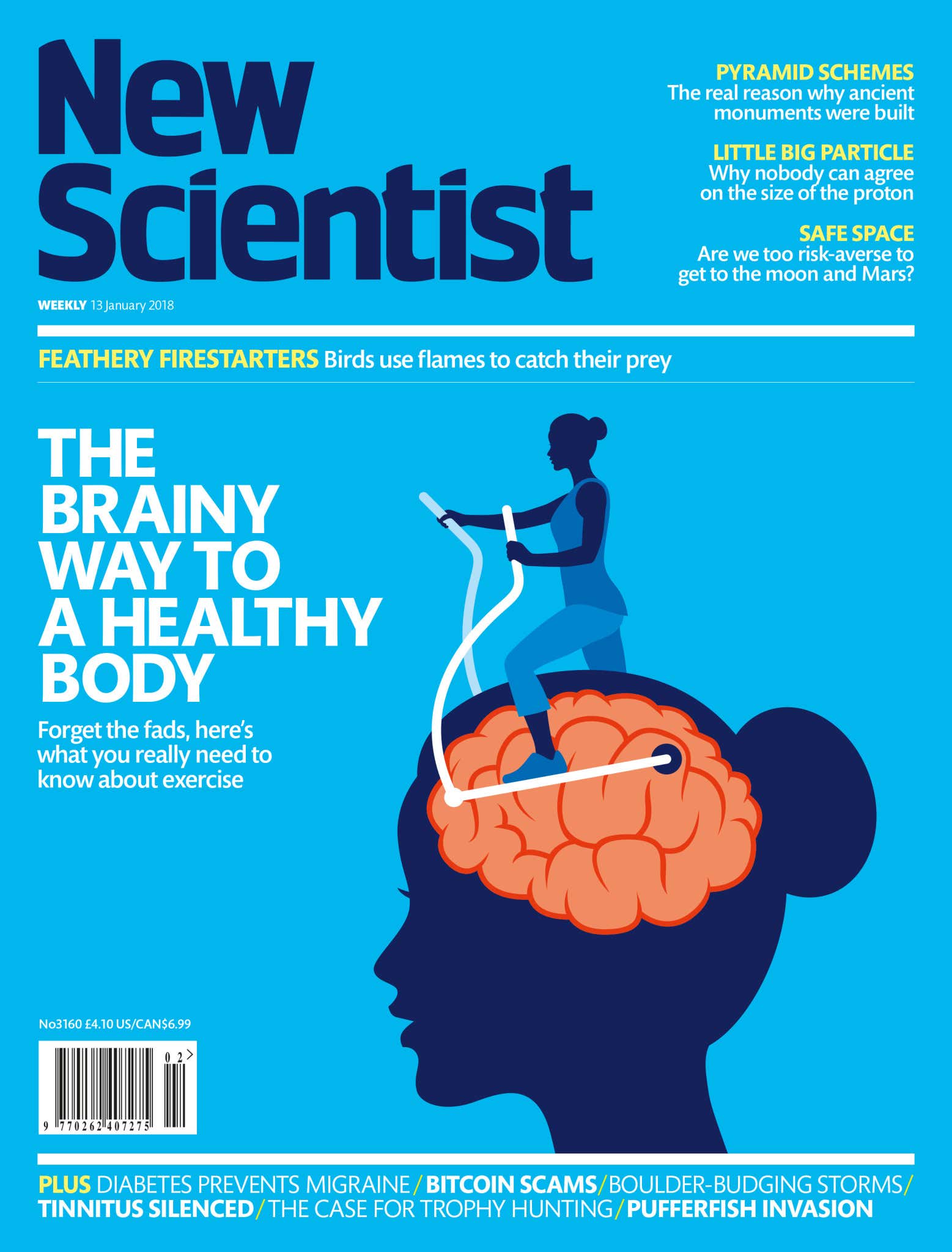 New Scientist issue 3160 cover