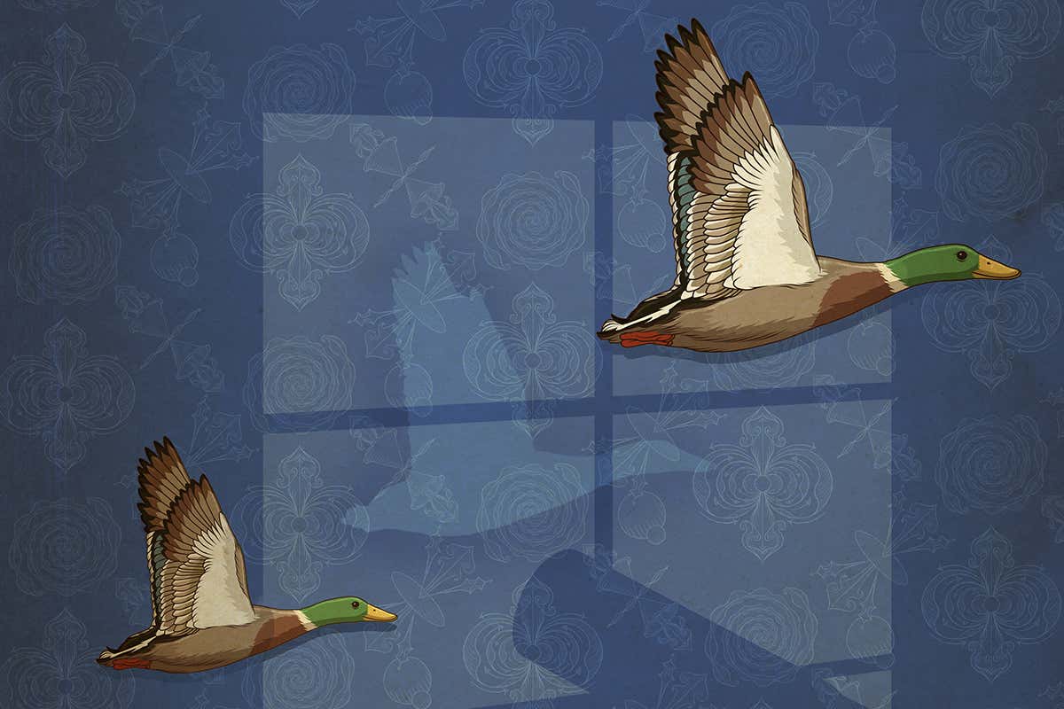 ducks black hole artwork