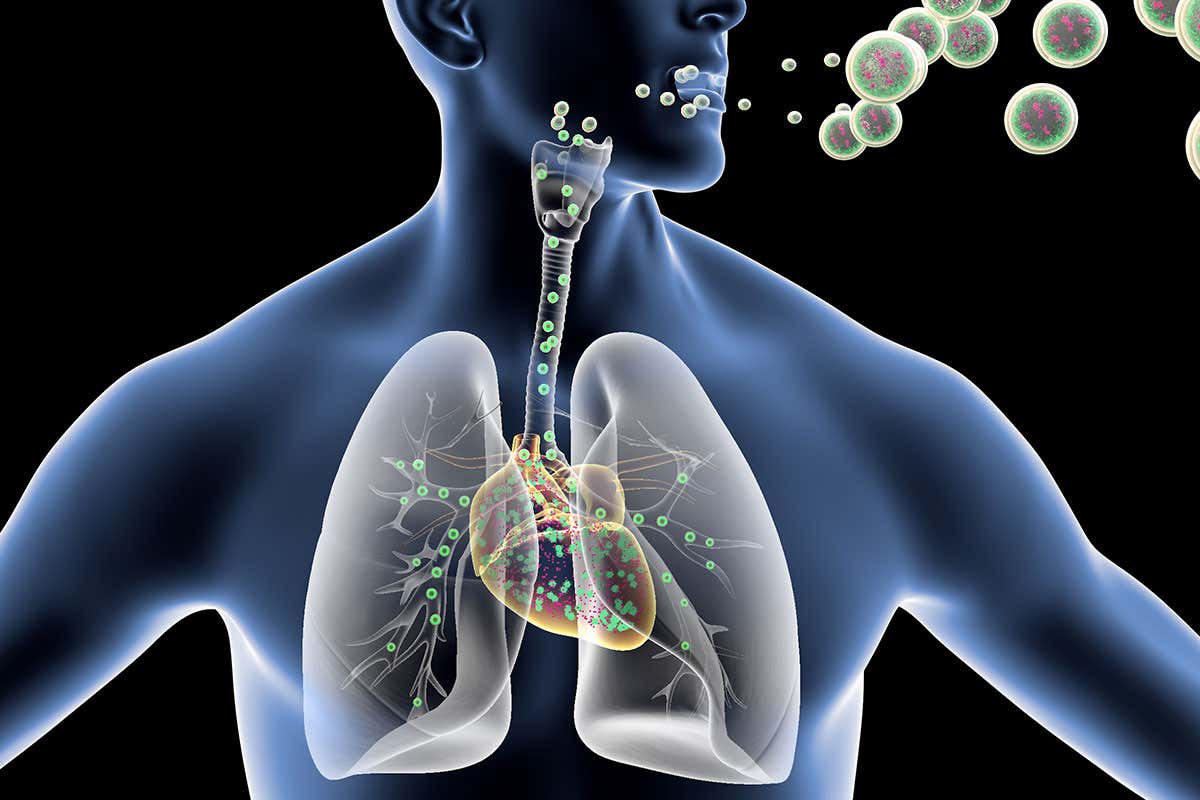 A diagram of a person breathing in