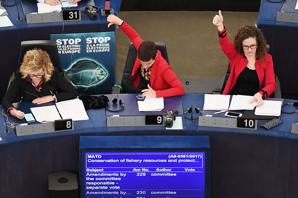 Members of the European Parliament, including German co-president of the Greens parliamentary group, Ska Keller (C), take part in a voting session on the 'Conservation of fishery resources and protection of marine ecosystems through technical measures' at the European Parliament in Strasbourg on January 16, 2018