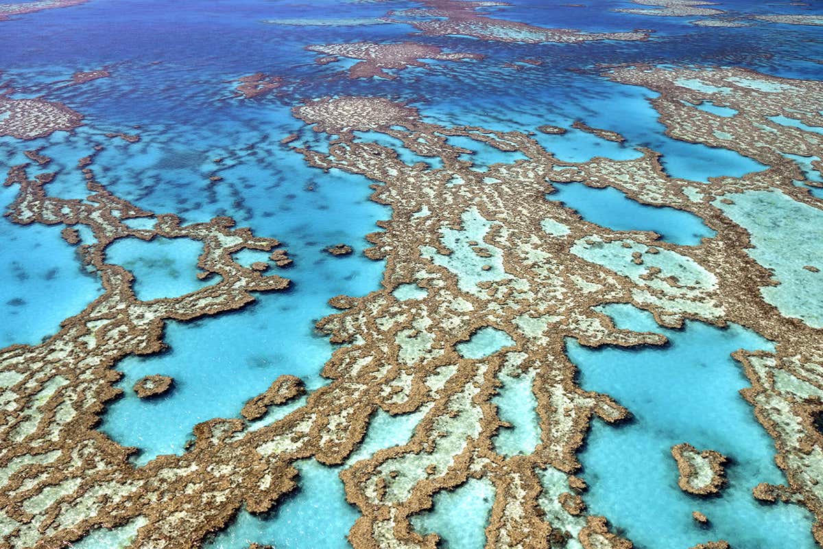 Australia's A$60 million plan for Great Barrier Reef won't work