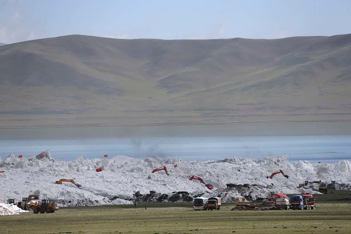 New Scientist. Science news and long reads from expert journalists, covering developments in science, technology, health and the environment on the website and the magazine.