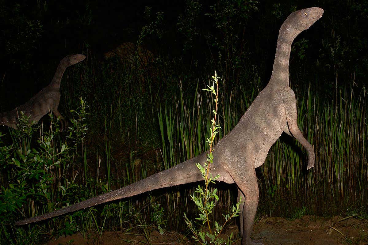 Young 'dinosauromorphs' may have begged for food like baby birds