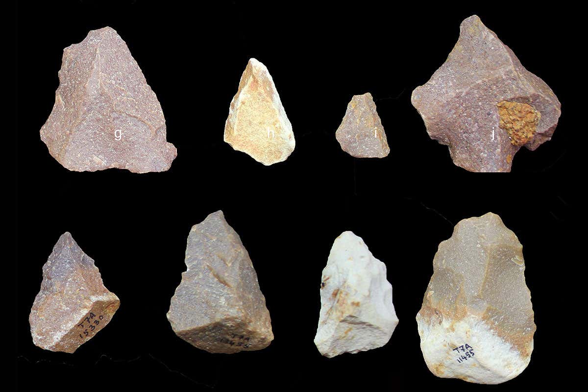 Someone made advanced stone tools in India 172,000 years ago